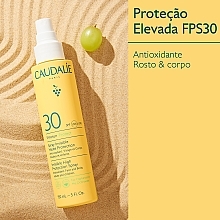 Сонцезахисний спрей для обличчя та тіла - Caudalie Vinosun Protect Spray Invisible SPF30 — фото N3