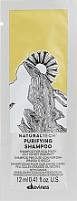 Парфумерія, косметика Очищувальний шампунь проти лупи - Davines Natural Tech Purifying Shampoo (пробник)