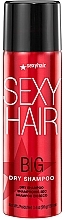 Сухий шампунь для об'єму волосся - SexyHair BigSexyHair Dry Shampoo — фото N1