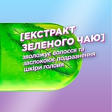 Заспокійливий шампунь проти лупи для всіх типів волосся - Garnier Fructis Shampoo Anti-dandruff — фото N4