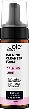 Очищувальна пінка для вмивання з ніацинамідом та екстрактом центели - Jole Calming Cleanser Foam — фото N1