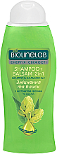 Шампунь-бальзам 2 в 1 "З екстрактами кропиви та хмелю" - Biolinelab Shampoo + Balsam 2 in 1 — фото N1