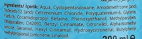 Двухфазный спрей-кондиционер для волос - Totex Cosmetic Blue Hair Conditioner Spray — фото N3