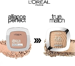 УЦЕНКА Пудра компактная - L'Oreal Paris True Match Super Blendable Powder * — фото N9