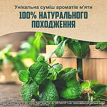 Зубная паста "Свежесть трав с натуральными компонентами" - Aquafresh Naturals Herbal Fresh — фото N5