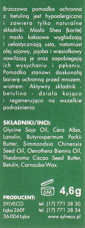 Березовая защитная помада с бетулином - Sylveco — фото N3