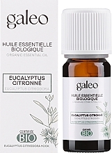 Органическое эфирное масло эвкалипта лимонного - Galeo Organic Essential Oil Eucalyptus Citriodora — фото N2