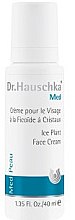 Зволожувальний крем для обличчя - Dr. Hauschka Ice Plant Face Care Cream — фото N1