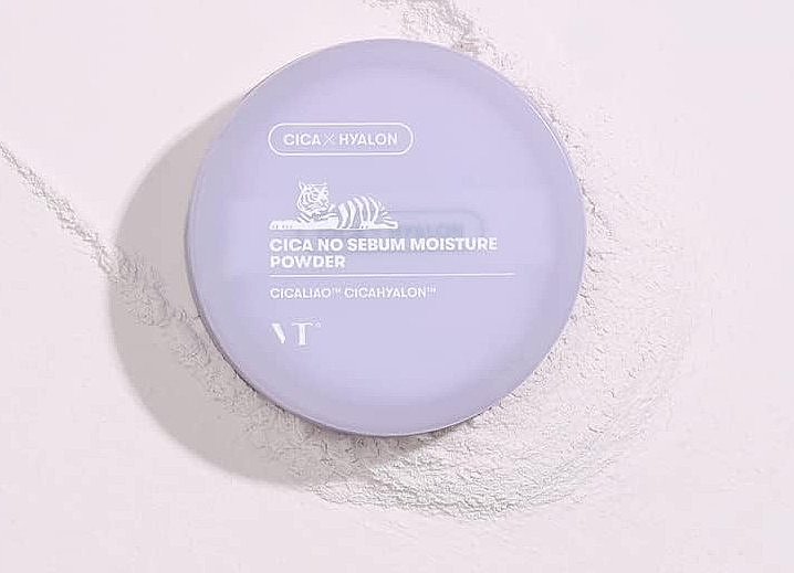 Зволожувальна розсипчаста пудра для обличчя - VT Cosmetics Cica No Sebum Moisture Powder — фото N4