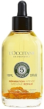 Регенерувальна олія для волосся - L'Occitane Aromachologie Intensive Repair Enriched Infused Oil — фото N1