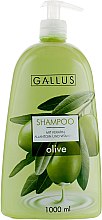 Духи, Парфюмерия, косметика Шампунь с экстрактом оливы - Gallus Olive Shampoo 