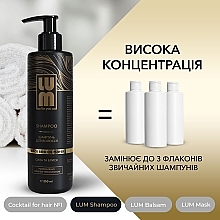 Набір "Професійний догляд за волоссям" - LUM (shm/250ml + h/balm/250ml + h/mask/200ml + hair/coc/50ml) — фото N10