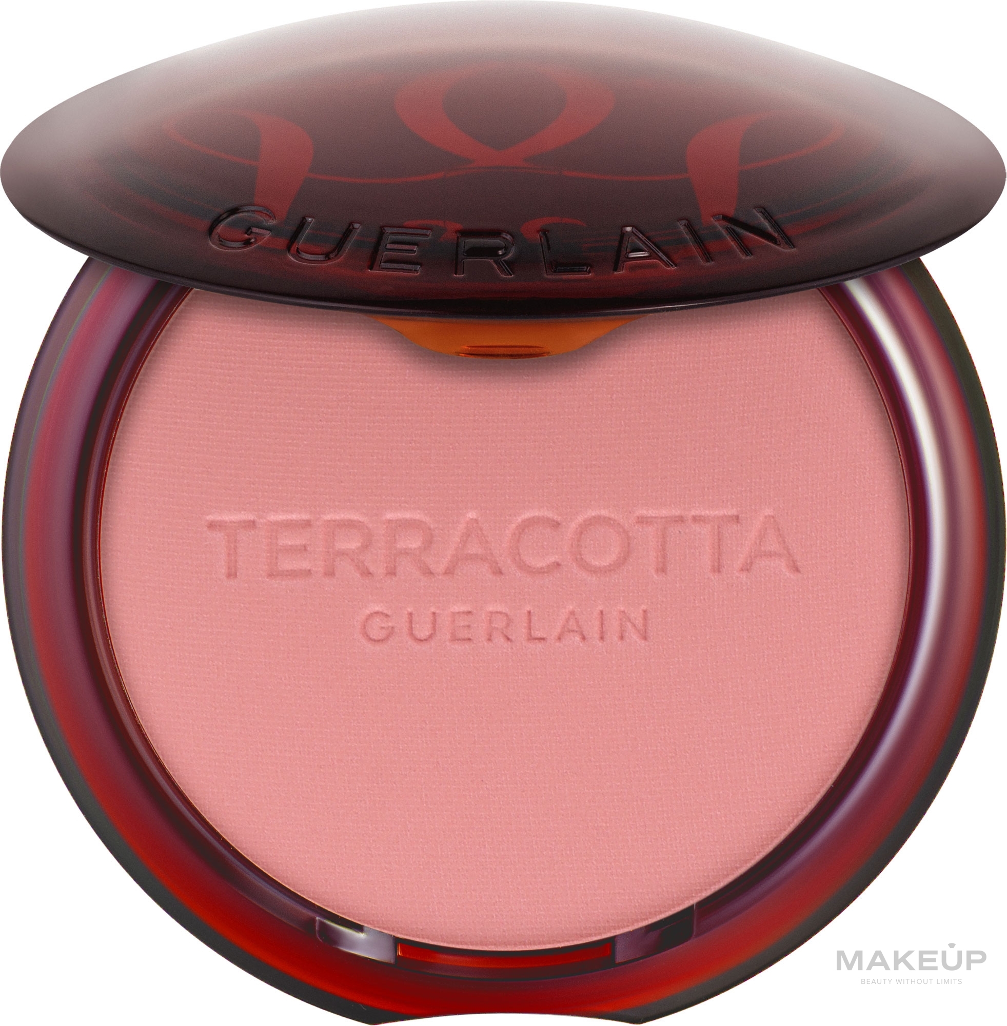 Компактные румяна для лица - Guerlain Terracotta Blush Powder — фото 00 - Nude Clair