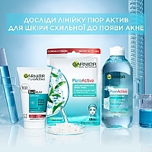 Средство 3в1: гель для умывания, скраб и маска с глиной для кожи лица - Garnier Pure Active — фото N6