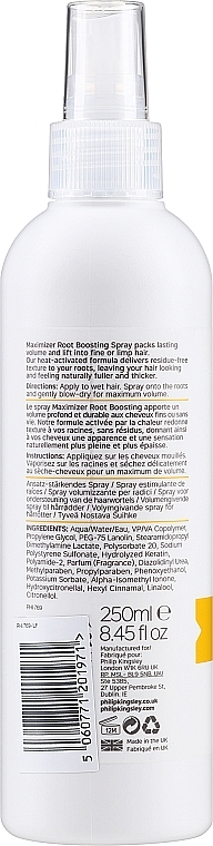 Спрей для прикореневого об'єму волосся - Philip Kingsley Maximizer Root Boosting Spray — фото N2
