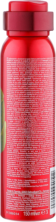 Аерозольний дезодорант - Old Spice Citron Dezodorant Spray — фото N3