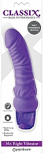Рельефный вибратор, фиолетовій - Pipedream Classix Mr Right Vibrator — фото N1