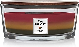Парфумерія, косметика Ароматична свічка у склянці - WoodWick Hearthside Trilogy Ellipse Candle