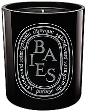 Ароматическая свеча - Diptyque Black Baies Ceramic Candle — фото N1