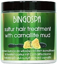 Парфумерія, косметика Маска для волосся - BingoSpa Treatment For Hair With Mud