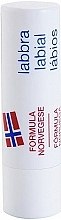 Духи, Парфюмерия, косметика Защитный бальзам для губ - Neutrogena Norwegian Formula Lip Balm SPF4