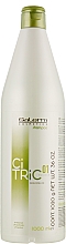 Шампунь для сухого пошкодженого волосся - Salerm Citric Balance Shampoo — фото N4