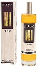 Esteban Cedre - Парфюмированный спрей для дома — фото N1