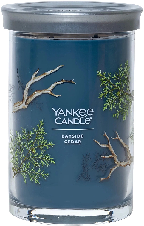 Ароматическая свеча на подставке "Кедр", 2 фителя - Yankee Candle Bayside Cedar Tumbler — фото N1