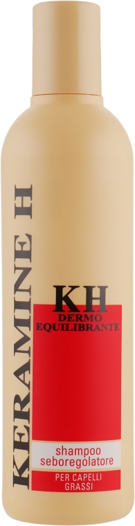 Шампунь для жирной кожи головы - Keramine H Oil Control Shampoo — фото N1