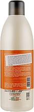 Шампунь для волосся з кератином - Parisienne Italia Evelon Pro Essense Repair Shampoo — фото N2