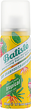 Парфумерія, косметика Сухий шампунь - Batiste Dry Shampoo Coconut and Exotic Tropical *