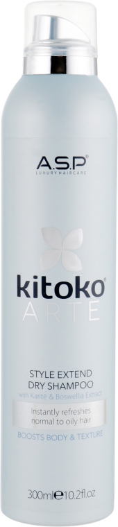 Сухий шампунь для волосся - ASP Kitoko Arte Style Extend Dry Shampoo — фото N1
