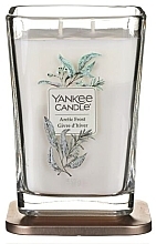 Ароматическая свеча - Yankee Candle Elevation Artic Frost Candle — фото N2