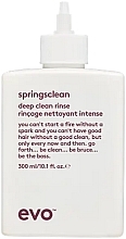 Крем глибокого очищення для в'юнкого і кучерявого волосся - Evo Springsclean Deep Clean Rinse — фото N1