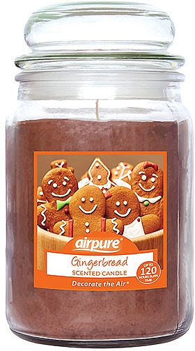 Ароматическая свеча "Имбирный пряник" - Airpure Jar Scented Candle Gingerbread — фото N1