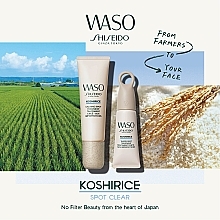 Заспокійливий засіб проти плям - Shiseido Waso Koshirice Calming Spot Treatment — фото N9