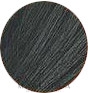 Відтінковий бальзам - Prestige BeColor Semi-Permanent Hair Toner — фото 01 - Черный бриллиант