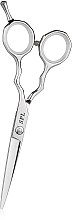 Ножиці перукарські, 5.5 - SPL Professional Hairdressing Scissors 90011-55 — фото N1