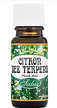 Духи, Парфюмерия, косметика Эфирное масло лимона без терпенов - Saloos Essential Oils Lemon Without Terpenes