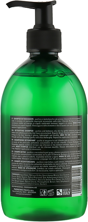 Шампунь для волос - Parisienne Italia Evelon Pro Nutri Elements Detox Shampoo Organic Ginger — фото N2