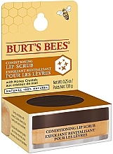 Кондиционирующий скраб для губ - Burt's Bees Conditioning Lip Scrub — фото N5