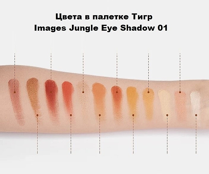 Палетка теней "Тигр" - Images Jungle Eye Shadow — фото N4