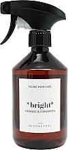 Парфумерія, косметика Спрей для дому "Апельсин і кориця" - Ambientair The Olphactory Bright Home Perfume
