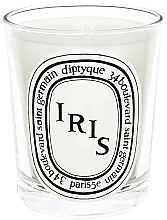 Ароматическая свеча - Diptyque Scented Candle Iris — фото N1