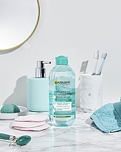 Гіалуронова міцелярна алое вода для очищення шкіри обличчя - Garnier Skin Naturals — фото N6