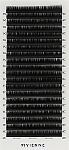 Накладные ресницы "Elite", черные, 20 линий (0,05, C, 8) - Vivienne — фото N1