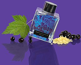 Аромадифузор "Чорна смородина і мускус" - ESSE Home Fragrance Diffuser — фото N5