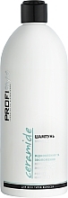 Парфумерія, косметика Шампунь для волосся "Відновлення та зволоження" - Profi Style Ceramide Shampoo Repairing And Moisturizing