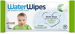 Парфумерія, косметика Дитячі вологі серветки 60 шт. - WaterWipes Baby Wipes