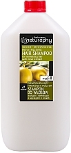 Парфумерія, косметика Шампунь для волосся з екстрактом оливи - Bluxcosmetics Naturaphy Hair Shampoo Refill